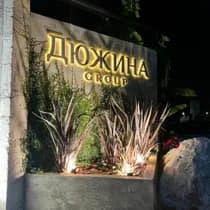 Дюжина