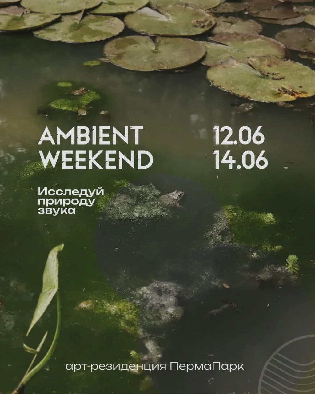 Ambient weekend