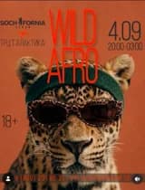 Вечеринка Wild Afro