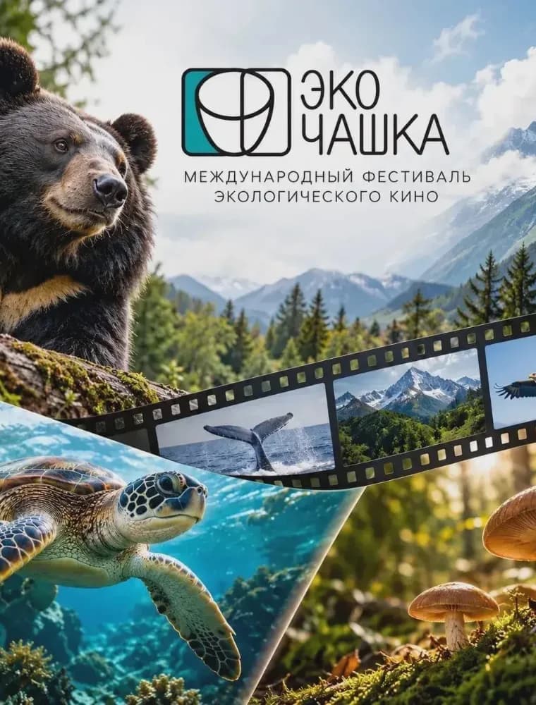 Фестиваль экологического кино Эко Чашка