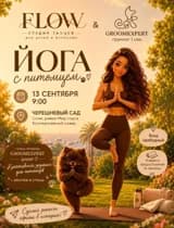Йога с питомцем