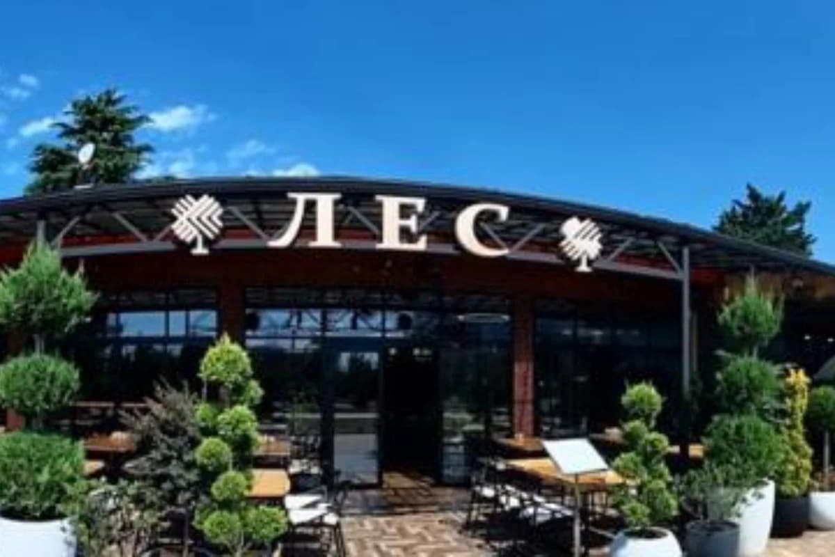 Лес