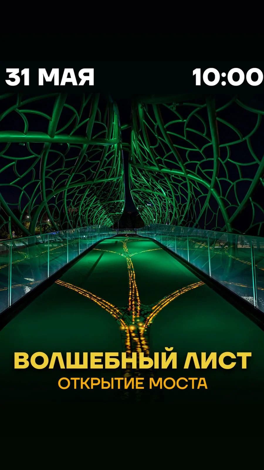 Открытие моста "Волшебный лист"