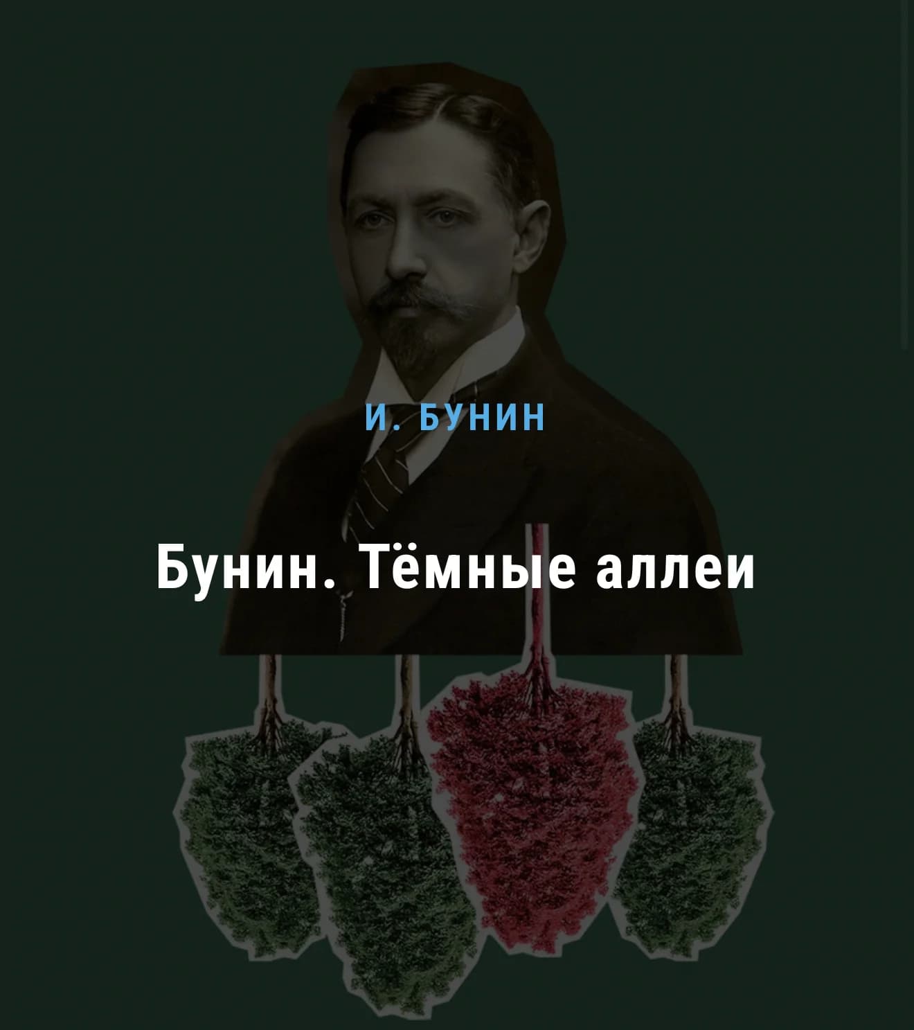 Бунин. Тёмные аллеи