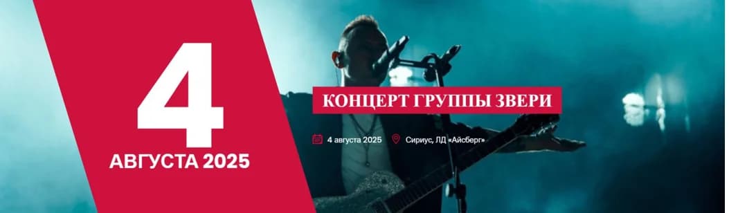 Концерт группы ЗВЕРИ