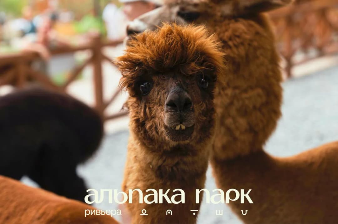 Альпака парк Ривьера