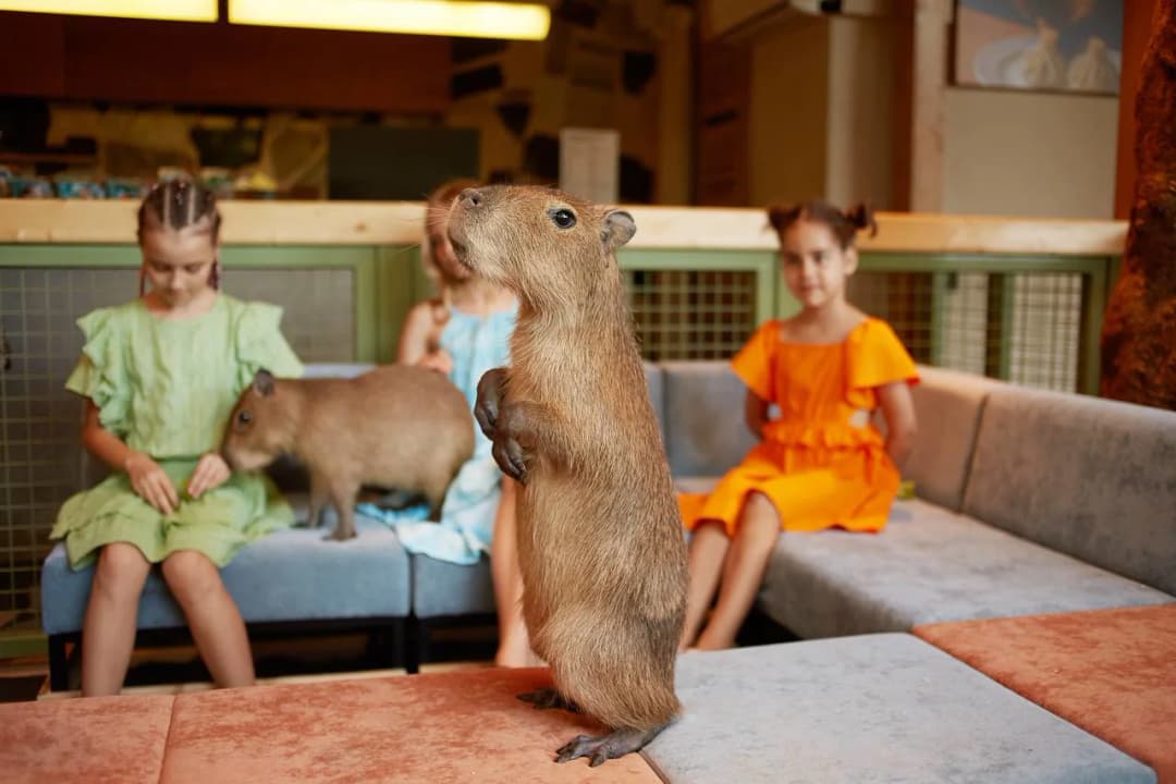 Дом капибар