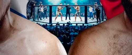 Бетсити Fight Nights 134