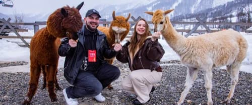 Экскурсия  для взрослых в парк альпак Пача Мама 