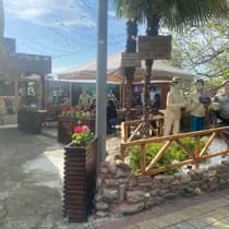 Кавказская пленница